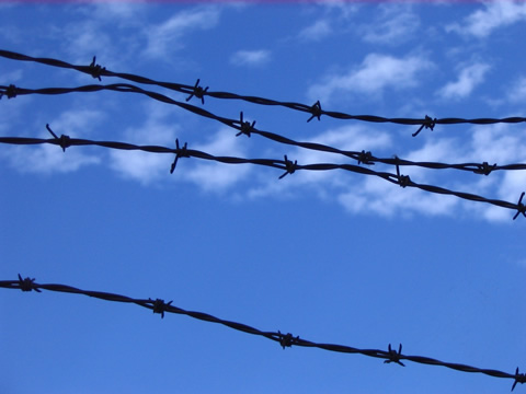 barbed wire