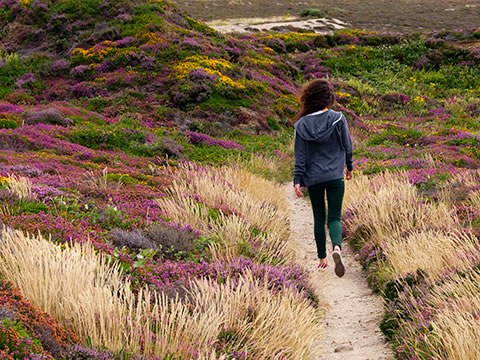 lady walking through heather