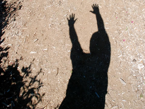 a shadow
