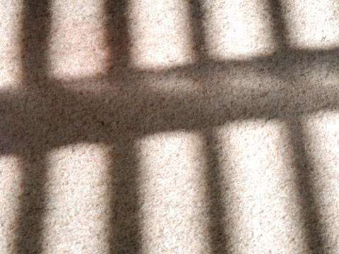 shadow of prison bars